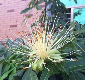 ���˽�̻�԰һ�÷������������